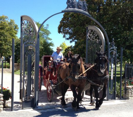 Horse-drawn carriage ride