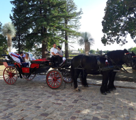Horse-drawn carriage ride