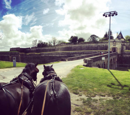 Horse-drawn carriage ride