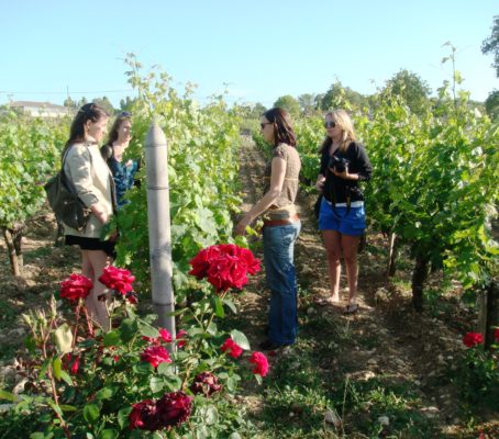 Visite et dégustation