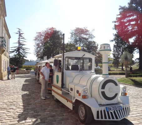 Visite dégustation et balade en petit train